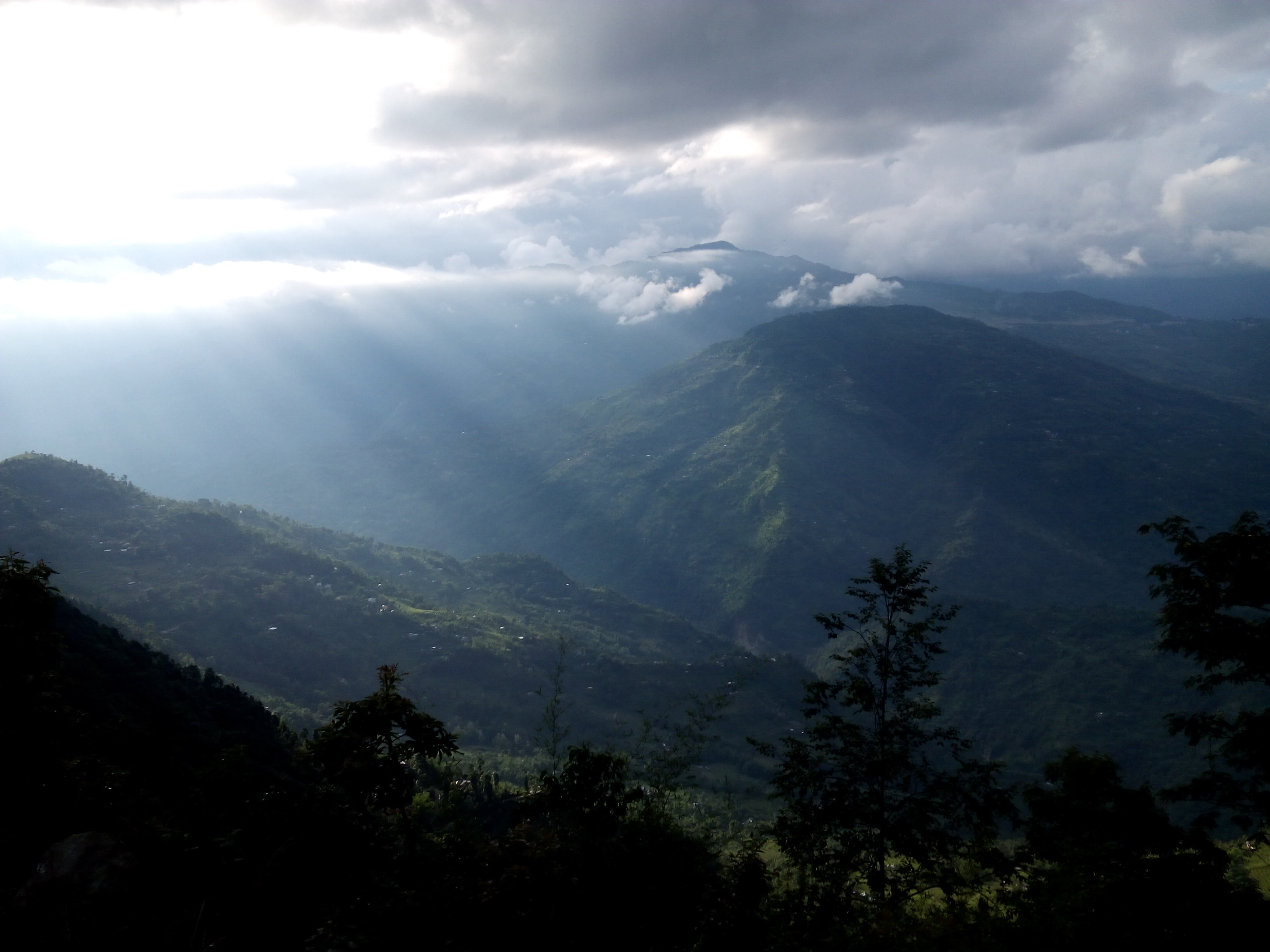Lush greenery of Pedong