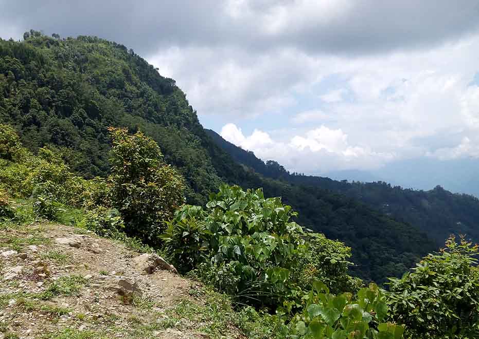 View of Pedong village from the hills