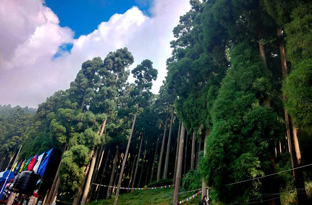 Lamahata landscape view
