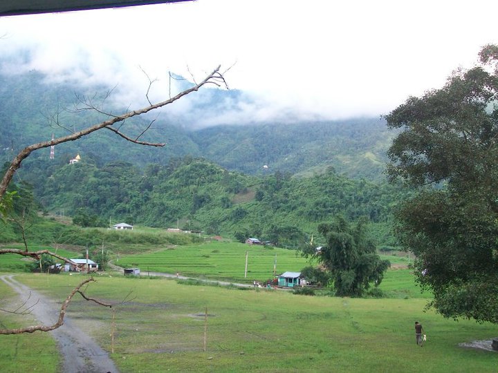 Green lush at Rohini