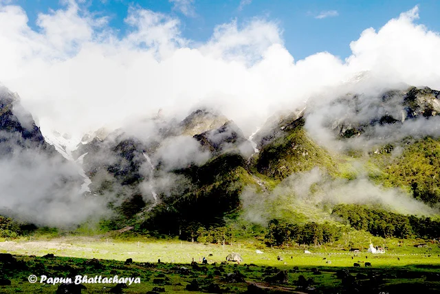 Yumthang Valley landscape